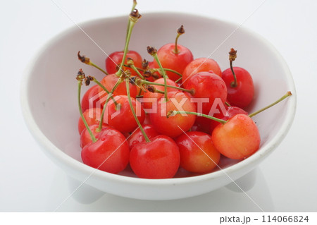 さくらんぼ佐藤錦　ハイアングル 114066824