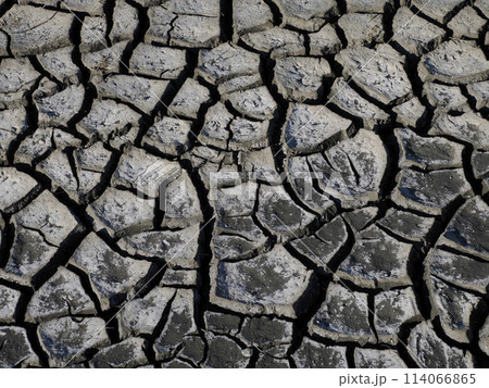detail of dry soil of salt pans of Aveiro Portugal detail of dry soil of salt pans of Aveiro Portugal 114066865