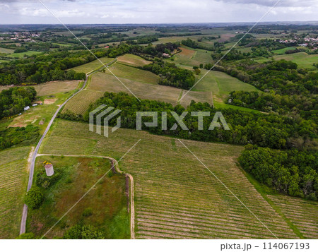 Aerial view of Bordeaux vineyard at spring under cloudy sky, Rions, Gironde, France 114067193