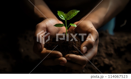 The Importance of Preserving Our Planets Biodiversity 114067523