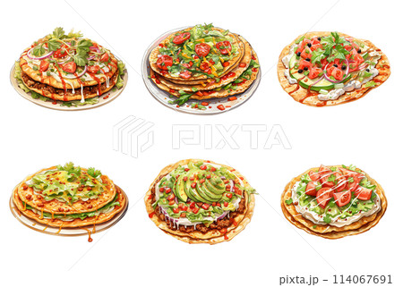 Tostadas with a Variety of Toppings 114067691