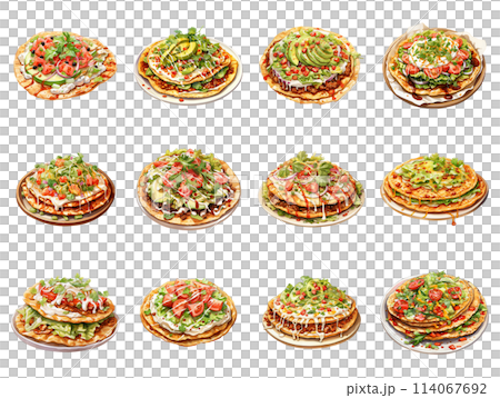 Tostadas with a Variety of Delicious Toppings 114067692