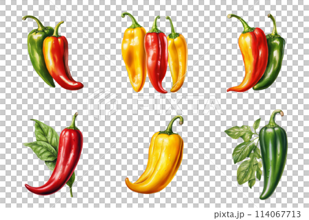 A Vibrant Collection of Red, Green, and Yellow Jalapenos 114067713
