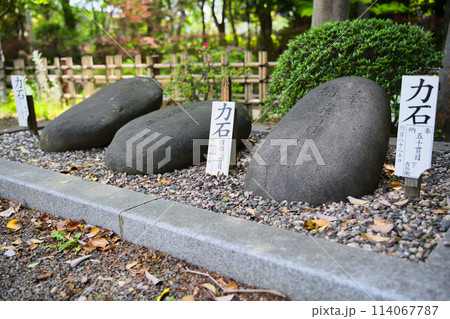 和楽備神社　力石　埼玉県蕨市中央 114067787