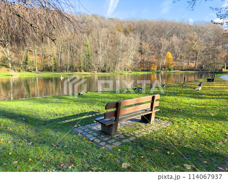Wooden bench in front of a lake in landscape park 114067937
