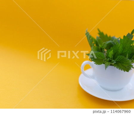 a cup of nettle tea, white cup a cup of nettle tea, white cup 114067960