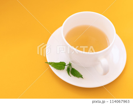 nettle tea in white cup, close up nettle tea in white cup, close up 114067963