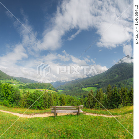 Meadow with road in Berchtesgaden National Park 114068412