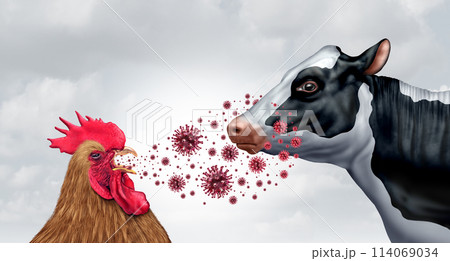 Bird Flu And Dairy Cows 114069034