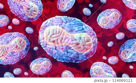 Monkeypox Virus Outbreak 114069121