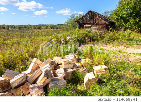 Chopped dry firewood at the countryside. Stock pile of timber, chopped down trees at the village 114069241