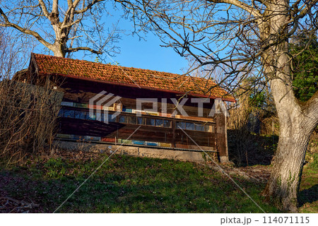 Autumn Serenity in Germany. Countryside Villages and Vineyards Along the River. autumn landscapes of Germany, featuring quaint cottages in a German village and picturesque vineyards adorning the 114071115