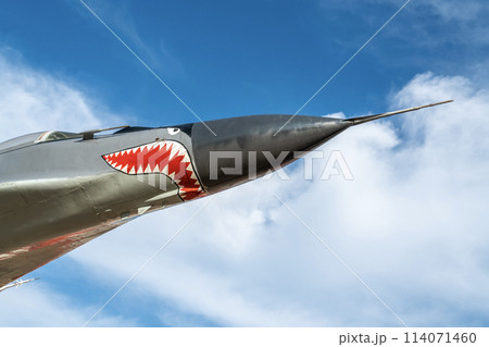 combat aircraft fighter bomber on a blue sky background combat aircraft fighter bomber on a blue sky background 114071460