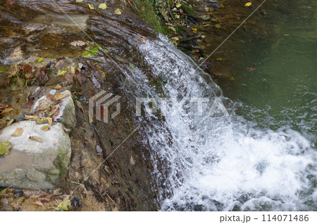 山道で見つけた生命力を感じさせる小さな滝 山道で見つけた生命力を感じさせる小さな滝 114071486