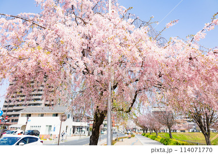 宇都宮城址公園 114071770