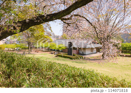 宇都宮城址公園 114071818