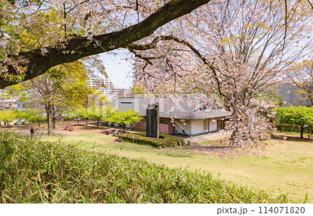 宇都宮城址公園 宇都宮城址公園 114071820