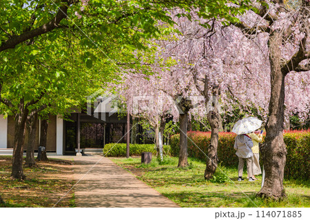 宇都宮城址公園 114071885
