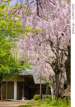 宇都宮城址公園 114071892