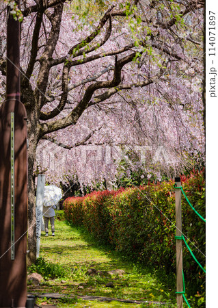 宇都宮城址公園 114071897