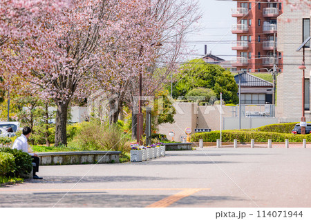 宇都宮城址公園 114071944