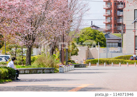 宇都宮城址公園 114071946