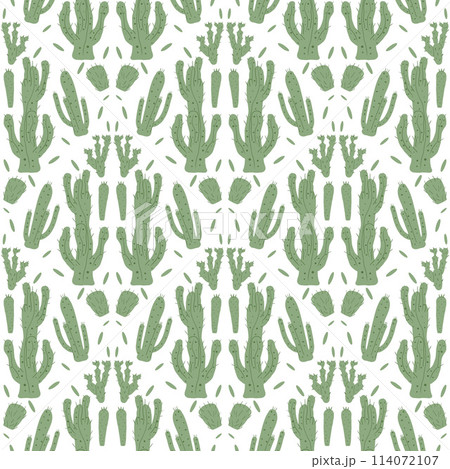 Cactus seamless pattern. Mexican exotic plant endless background. Nopal loop cover. Vector hand drawn illustration. 114072107