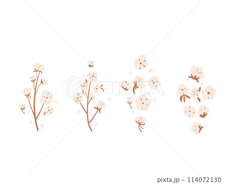 Cotton branches and flowers set isolated on white background. Purity, innocence, and new beginnings symbol. Vector hand drawn illustration 114072130