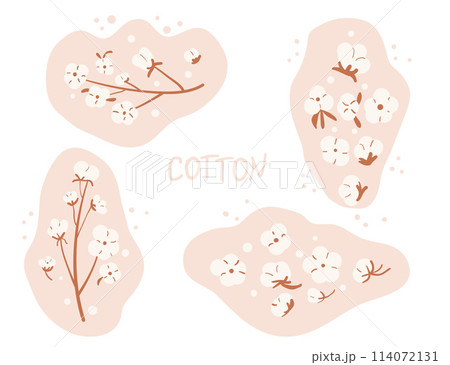 Cotton branches and flowers composition set isolated on white background. Purity, innocence, and new beginnings symbol. Vector hand drawn illustration Cotton branches and flowers composition set isolated on white background. Purity, innocence, and new beginnings symbol. Vector hand drawn illustration 114072131