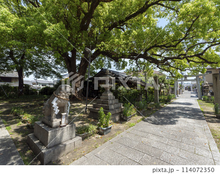 大阪市平野区 川辺神社 大阪市平野区 川辺神社 114072350