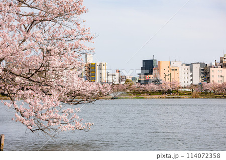 千波湖 千波湖 114072358