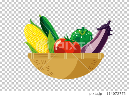 Summer vegetable basket simple 114072773