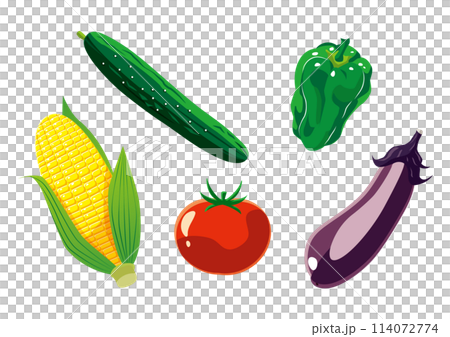Summer vegetable set - simple 114072774