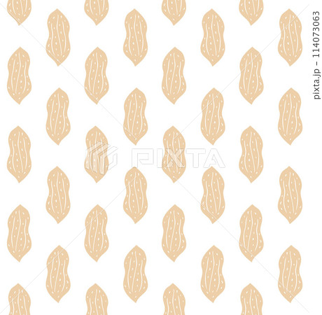 Vector seamless pattern of hand drawn peanut 114073063