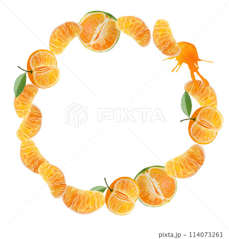 Tangerine slices and color splash wreath in watercolor isolated on white background. Hand drawn for food design, packages, restaurant and cafe menu, natural organic food, cards, label, logo decor Tangerine slices and color splash wreath in watercolor isolated on white background. Hand drawn for food design, packages, restaurant and cafe menu, natural organic food, cards, label, logo decor 114073261