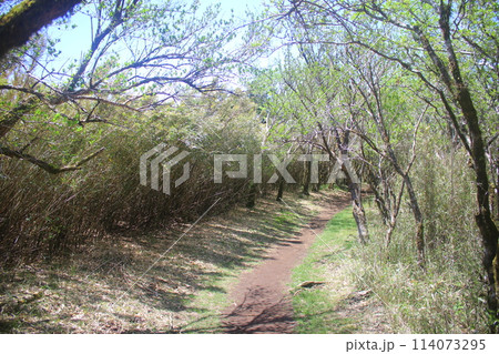 箱根町　登山 114073295