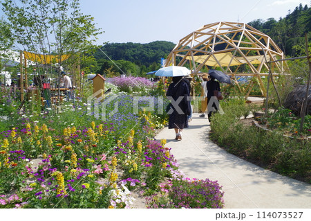 青葉山公園イベント会場花壇の景色 青葉山公園イベント会場花壇の景色 114073527