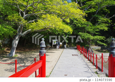 松島福浦島に渡る橋の景色 114073590