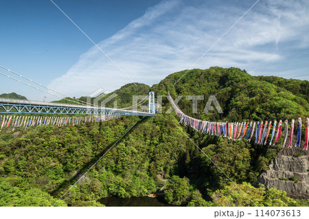 茨城県常陸太田市　鯉のぼり舞う竜神大吊り橋 114073613