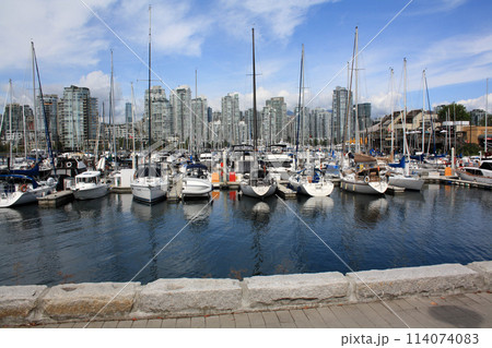 Vancouver seawall, British Columbia, Canada Vancouver seawall, British Columbia, Canada 114074083