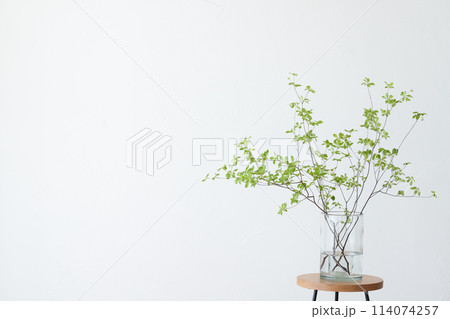 ガラスの花瓶に飾ったドウダンツツジ 114074257