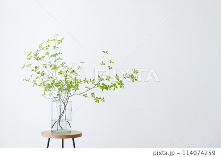 ガラスの花瓶に飾ったドウダンツツジ 114074259