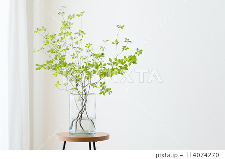 窓辺に置いたガラスの花瓶とドウダンツツジ 114074270