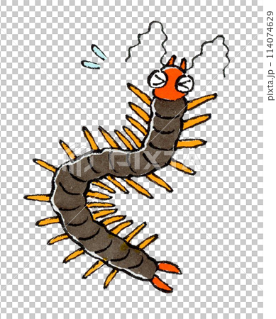 蜈蚣遇到麻煩了 114074629