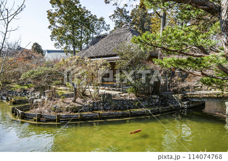 梅宮大社 早春の東神苑、池中亭と鯉 梅宮大社 早春の東神苑、池中亭と鯉 114074768