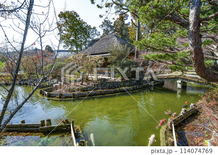 梅宮大社 早春の東神苑、池中亭と鯉 梅宮大社 早春の東神苑、池中亭と鯉 114074769