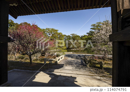 梅宮大社 早春の東神苑 梅宮大社 早春の東神苑 114074791