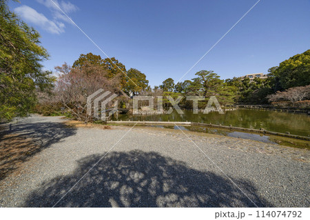 梅宮大社　早春の東神苑 114074792