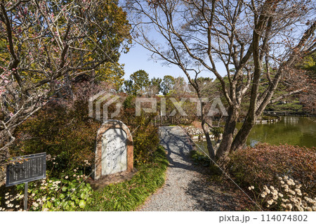 梅宮大社 早春の東神苑 梅宮大社 早春の東神苑 114074802