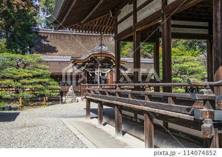 梅宮大社　境内 114074852